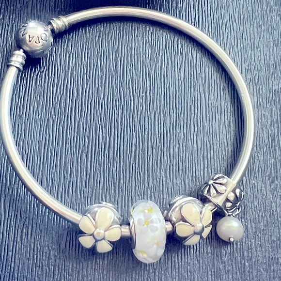 Authentic Ale 925 Pandora Bangle Bracelet Bundle - Picture 1 of 2